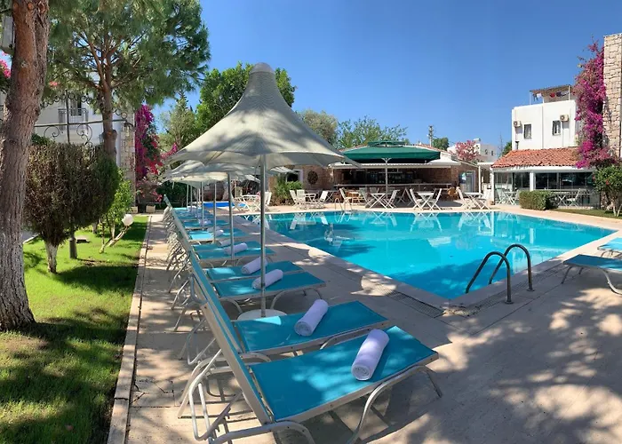 Moonshine ホテル *